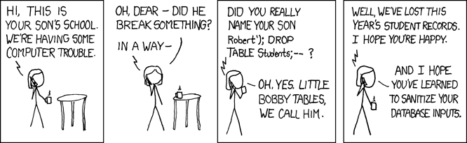 In a way. Did you really name your son Robert'); DROP TABLE Students;--? In a way. Did you really name your son Robert'); DROP TABLE Students;-- ?